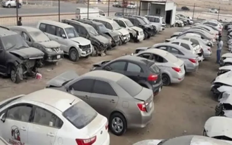 تنبيه مهم موعد جلسات مزاد الجمارك وأسعار كراسات الشروط المحددة